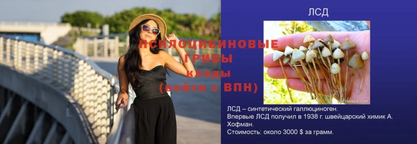 дживик Балахна