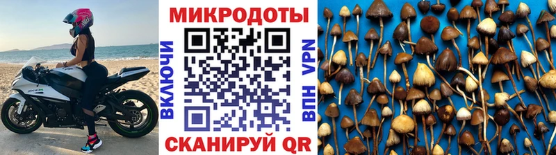 Галлюциногенные грибы мицелий купить наркоту Опочка